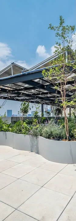 Departamentos de lujo en renta Colonia Juárez CDMX