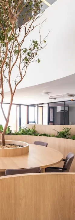 Departamentos de lujo en renta Colonia Juárez CDMX